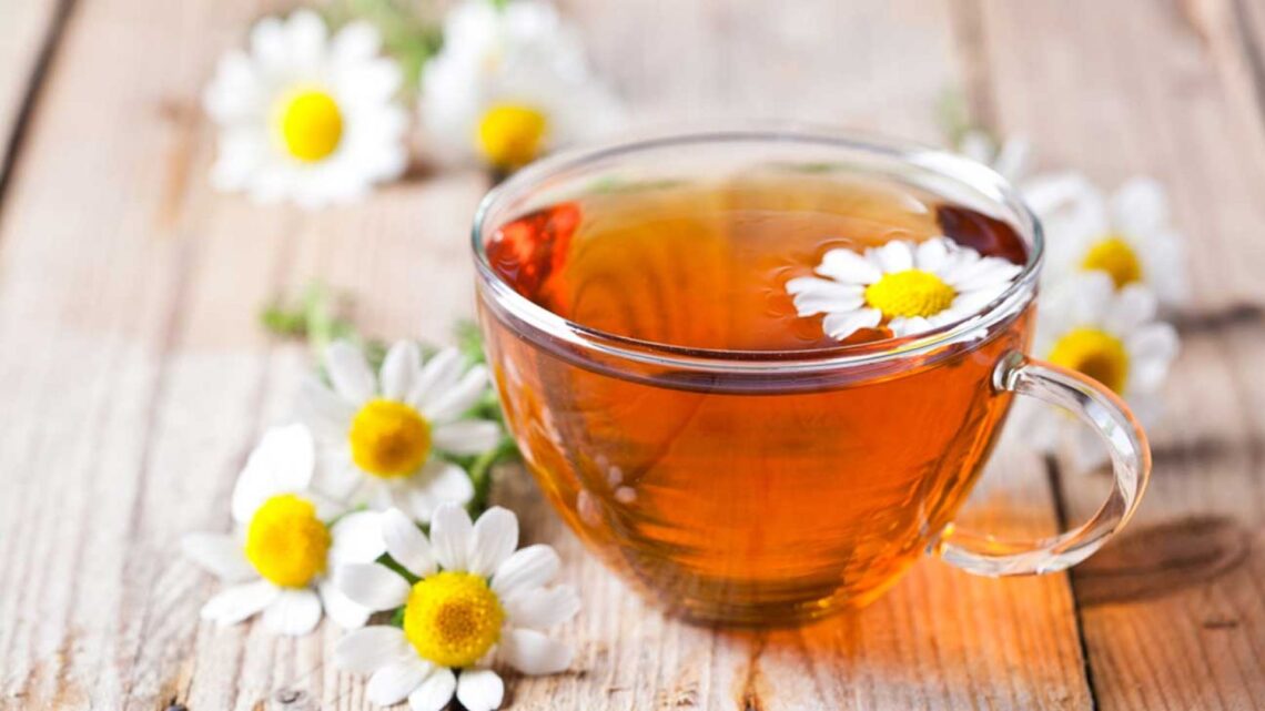 Şifalı papatya çayı - Papatya çayı, papatya bitkisinden elde edilmektedir.