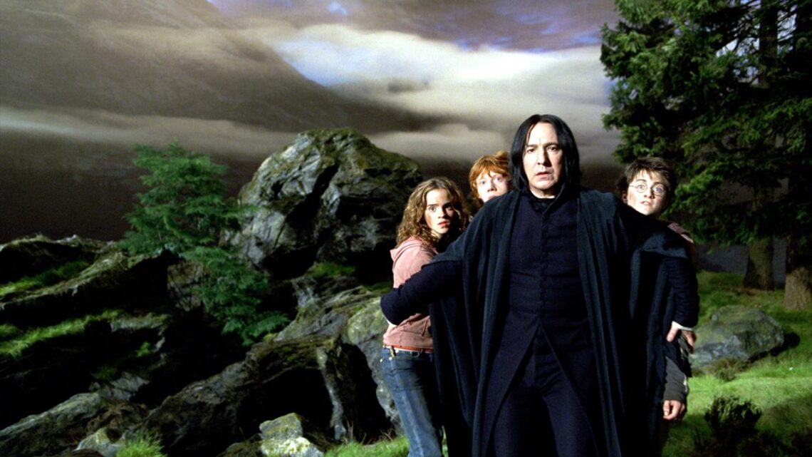 Alan Rickman Harry Potter serisinden Profesör Severus Snape rolünü aldığında 42 yaşındaydı.
