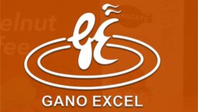 Gano Excel network marketing şirketinin temelleri 1983 yılına dayanmaktadır.