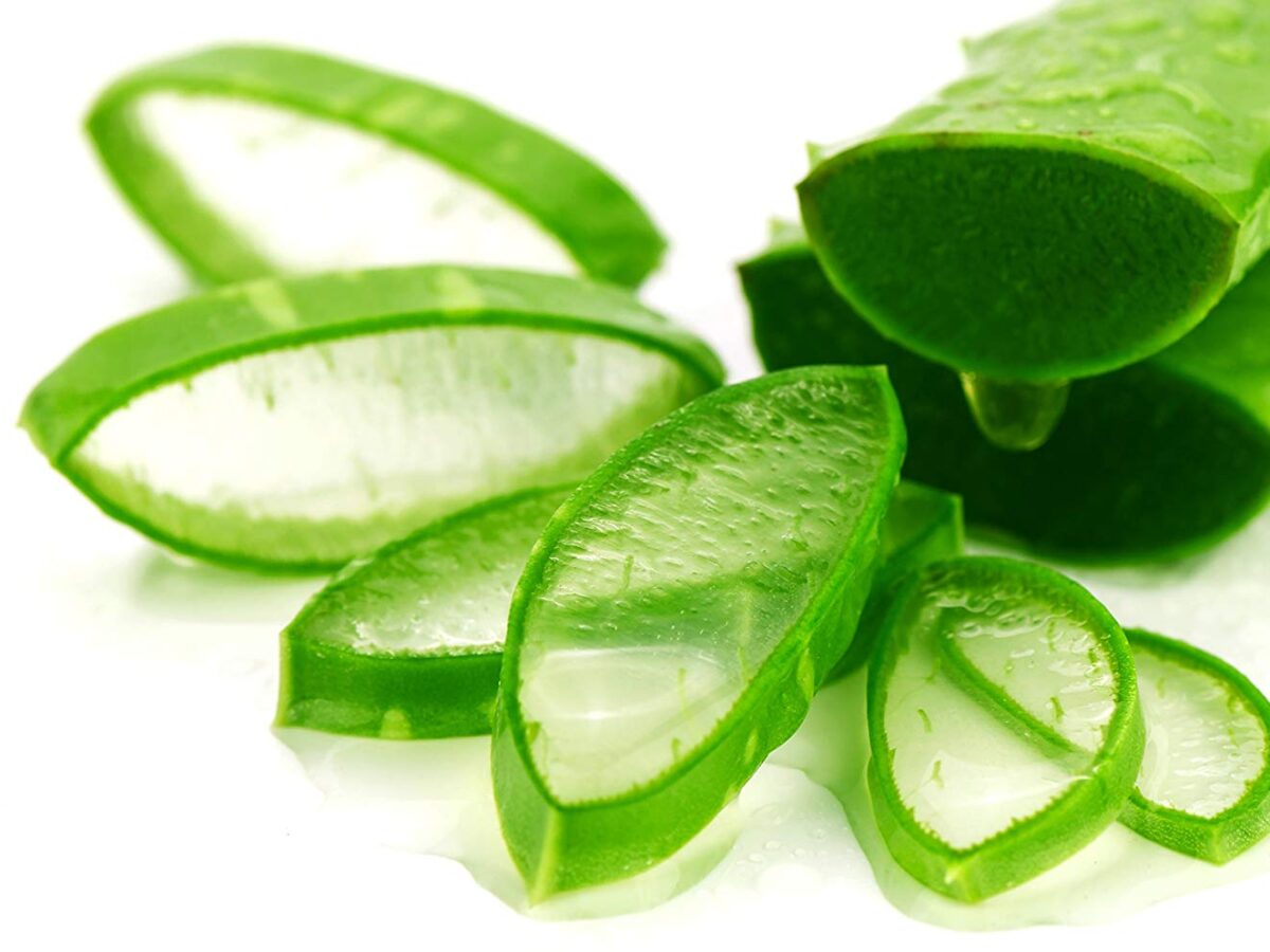 Aloe Vera Nedir? Faydalar Nelerdir? - Network Okulu