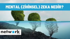 Mental zeka nedir