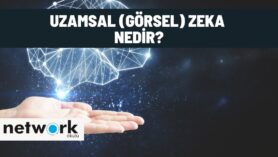 uzamsal zeka nedir