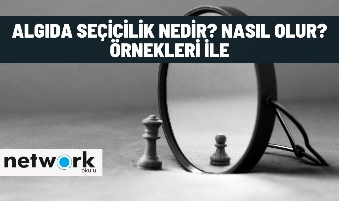 algida secicilik nedir