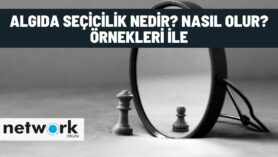 algida secicilik nedir