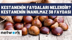 Kestanenin Faydaları Nelerdir?