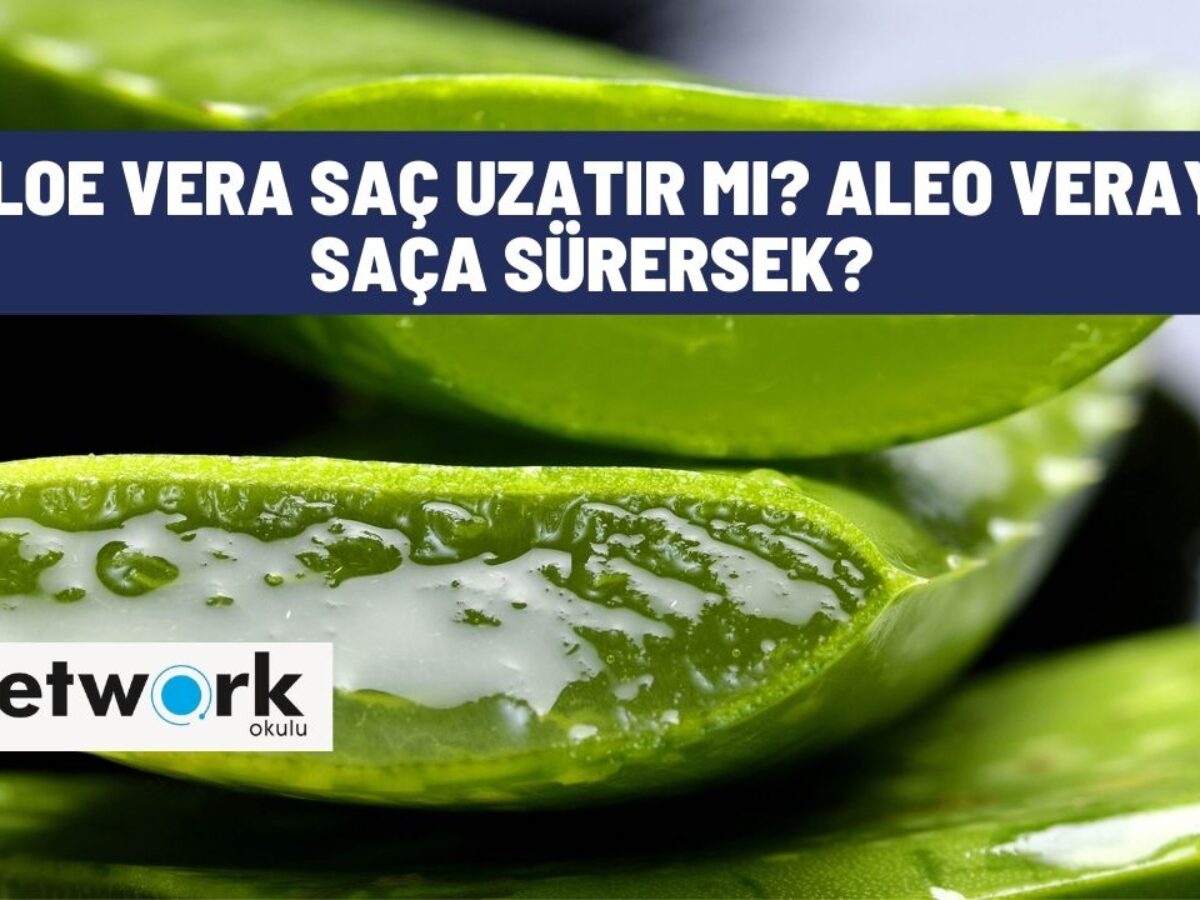 Aloe Vera Sa Uzatr M? Aleo Veray Saa Srersek? - Network Okulu