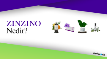 zinzino